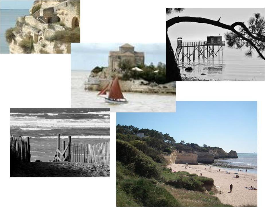 Chambre D'Hotes Le Berceau Meschers-sur-Gironde Exteriér fotografie